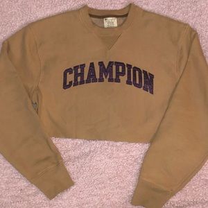 Women’s Size M Cropped Champion Crewneck Sweater